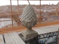 South East Pineapple